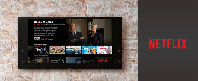 Netflix, les produits Sony compatibles